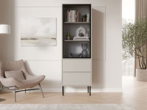Witryna do salonu Tugba 60 2S