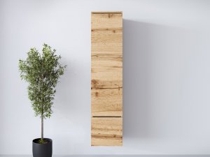 Witryna pełna do salonu Sawoti 001 + LED