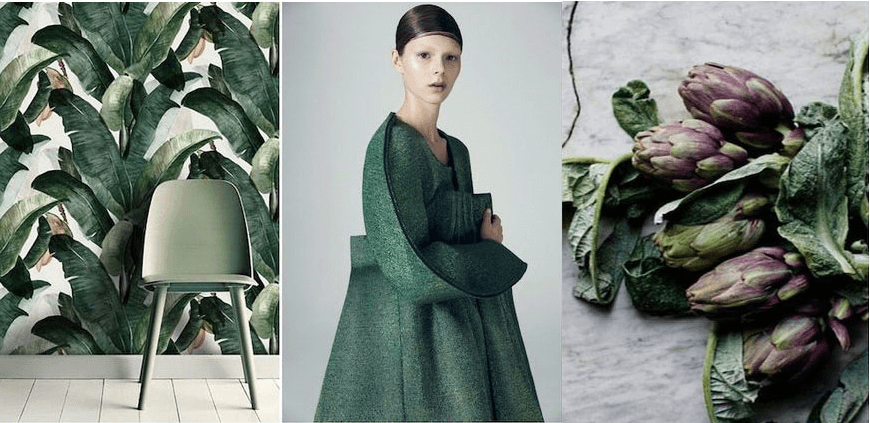 kale w trendach
